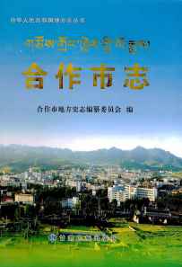 合作市志