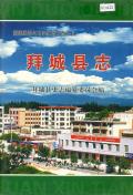 拜城县志