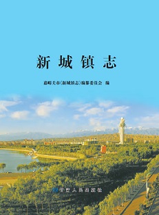 新城镇志2014