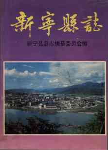 新宁县志