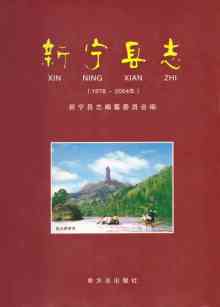 新宁县志2004