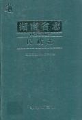 湖南省志民政志2002