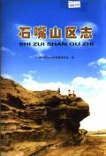 石嘴山区志