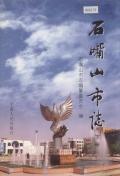 石嘴山市志下册
