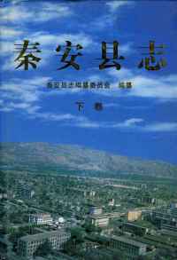 秦安县志2001下