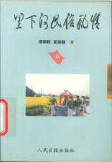 里下河民俗风情D