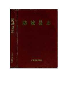 防城县志